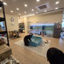 드래곤당구클럽 이미지