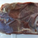 제천염소도축장 이미지