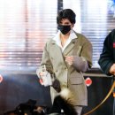 아멜리아 이미지