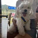 구례군청소년수련원 이미지