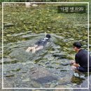 캠프99