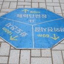 화도(꽃섬) | 인천 동구 ‘제35회 화도진축제’ 2024년 5월 10일