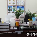 타워박사공인중개사사무소 이미지