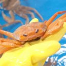 맛있는 클라쓰 이미지