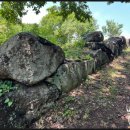 유포석보 이미지