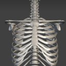 늘필라테스 이미지