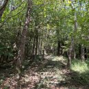 9월18일(목)경남 통영 한산도 한려해상국립공원 망산(293m) 역사 탐방 산행 및 제승당 관광 예약 이미지