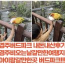 11500-7-74-14 | 경주아이랑갈만한곳 경주여행 버드파크 내돈내산후기 경주동물원 경주체험여행