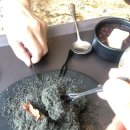 남악골 산야초 | 남악에서 몸보신하기 남악골산야초 그리고 디저트 밀탑 feat.팥덕후