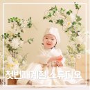 첫번째 | [고양시]첫번째계절 스튜디오 돌·아기촬영 후기