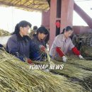 남포농장 연합뉴스
