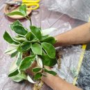 수태마을회관 이미지