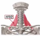 온아에스테틱 - 달성군 테크노중앙대로 254 | 온아에스테틱