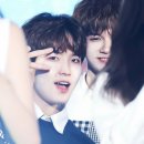 래요 Daum카페