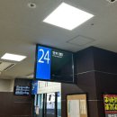 작은 불꽃 | 2025 후쿠오카 아마기강 불꽃축제 후기와 위치, 팁