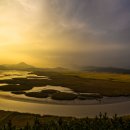 순천만습지 이미지