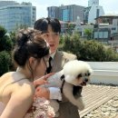 윤아헤어 - 공주시 신관로 63 | 베리굿웨딩 플래너의 헤어변형 윤아부장 웨딩촬영 헤어변형 꿀팁 추천
