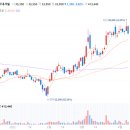 (주)판토스 - 1428 | (주)판토스