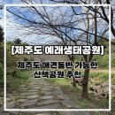 예래입구 | [제주도 예래생태공원] 서귀포 애견동반여행 산책코스 추천