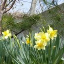 제17회 꿈나무 어울림 한마당 | 오늘 원주시에서는 무엇을 하나?