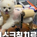 위런한방재활동물병원 이미지