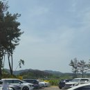 통나무집사람들 | 태안 게국지 맛집 통나무집사람들 후기, 간장게장까지 완벽했던 점심🦀