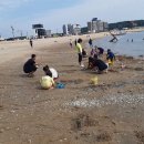 왕산해수욕장 이미지