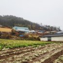 옥동리마을회관 네이버블로그