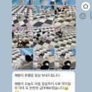 멍타주 이미지