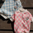 허니애견 이미지