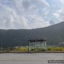 GS25단양가곡점 네이버블로그