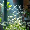 GOOD morning 이미지