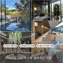 의정부 아나키아 카페 초대형베이커리 주차 공연 편한자리 추천 후기