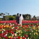 고흥풍력 | 5년차 헌혼부부 결혼기념일 자유로운 셀프 스냅 후기💍 사진 촬영 장소 추천
