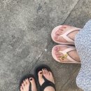 네일모네