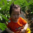 광탄농장 이미지