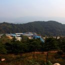 민들레양계장 이미지