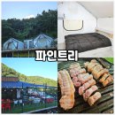 파인트리 | 대청호 펜션 파인트리 후기, 단체 가족도 즐기는 바베큐 공간