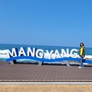 석류굴 고래불해수욕장 울진 이미지