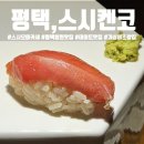스시켄코