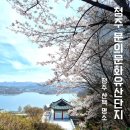 청주시상당청소년문화의집 | 청주 문의문화유산단지 주말 방문 후기 대청호 보며 봄꽃 산책하기 좋은 곳