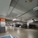 한빛세븐부동산공인중개사사무소 이미지