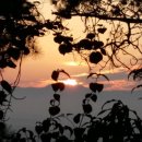 참살이힐링 펜션 이미지