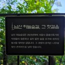 26/6/25 남산 하늘길갑니다 이미지