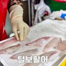 [털보활어] 통영중앙시장 통영회 통영횟집 돔 포장후기