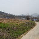 귀촌공인중개사사무소 이미지