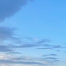 지리산짜글이회무침 이미지