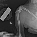 정창수외과동물병원 이미지