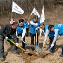 느티나무복지재단 이미지