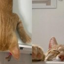 꿈나라 이미지